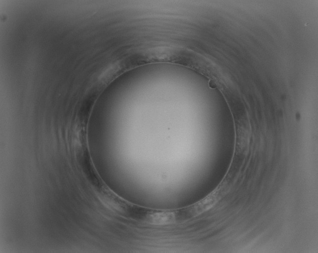 X0000051240126200506241531