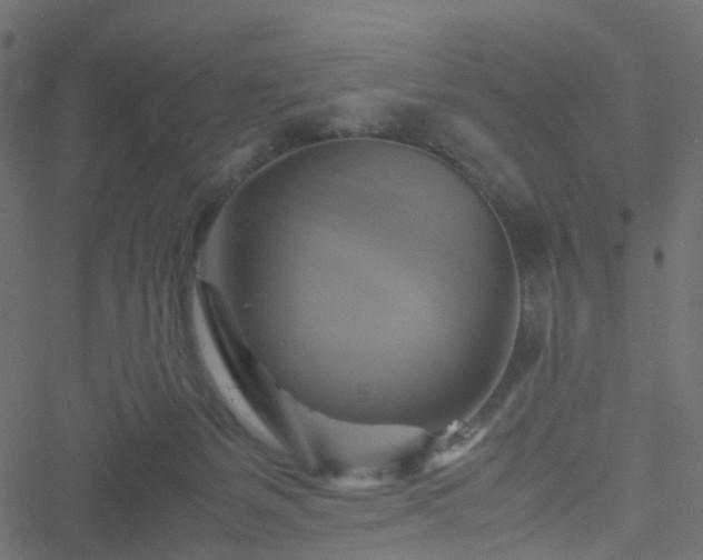 X0000051240127200506241531