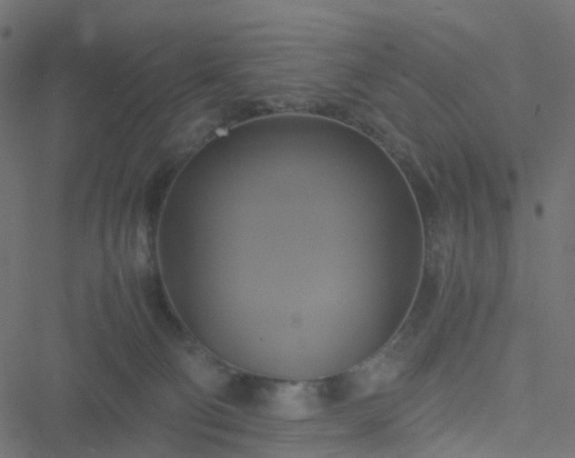 X0000051240130200506241531