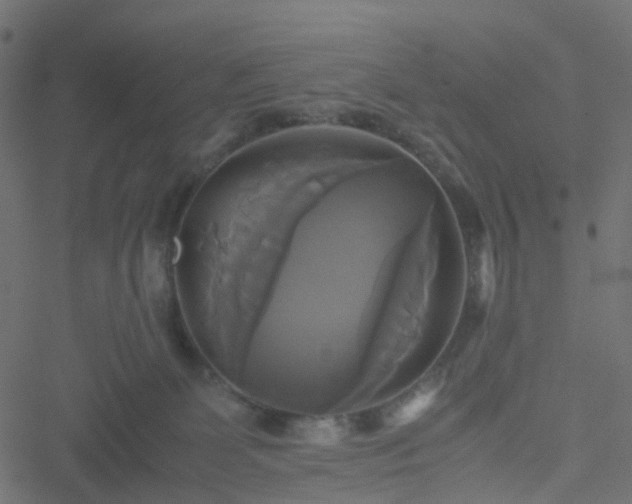 X0000051240131200506241531