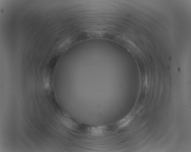 X0000051240134200506241531