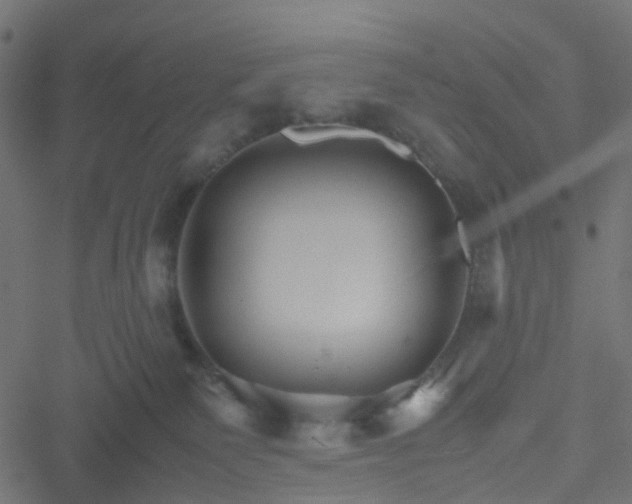 X0000051240135200506241531