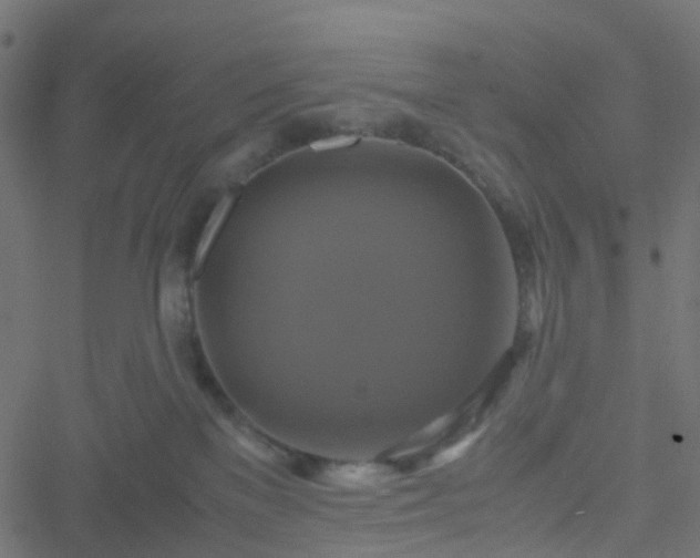 X0000051240137200506241531