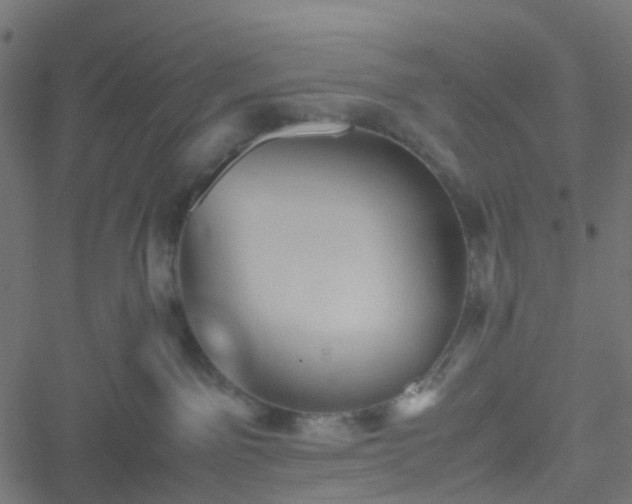 X0000051240141200506241531