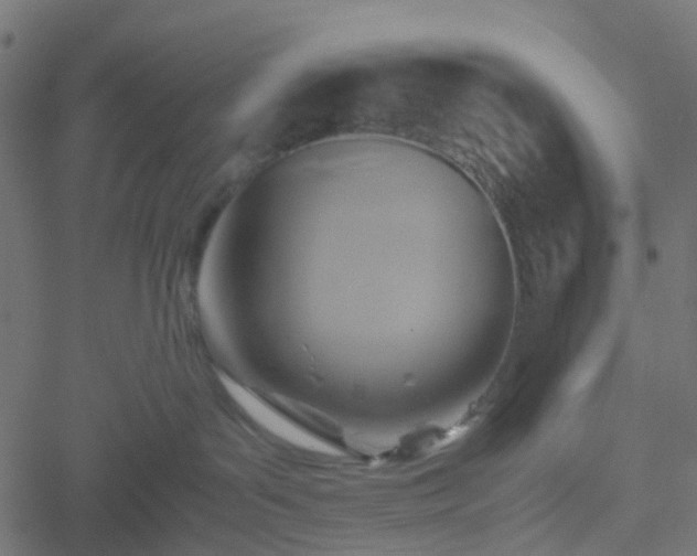 X0000051240143200506241531