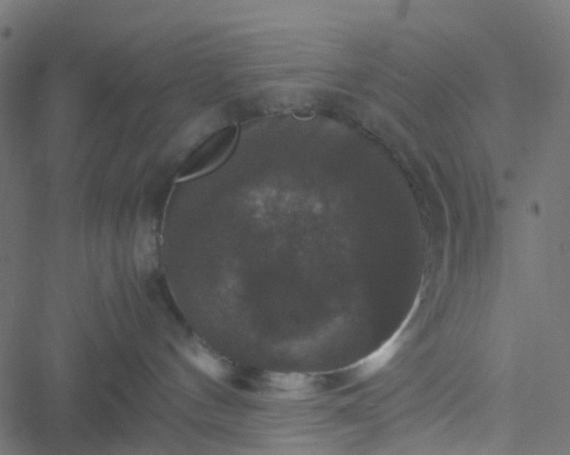 X0000051240144200506241531