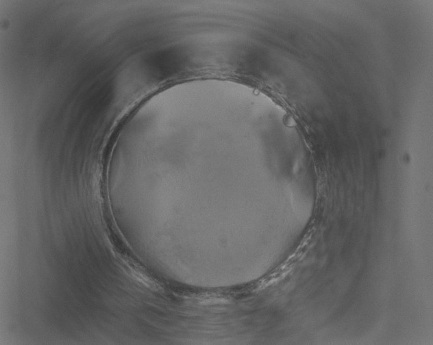 X0000051240146200506241530