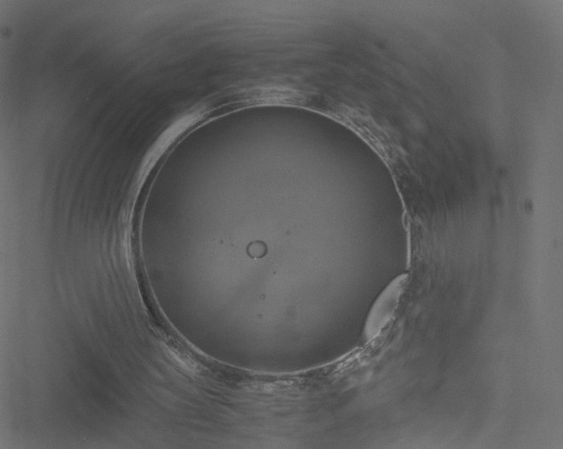 X0000051240147200506241530