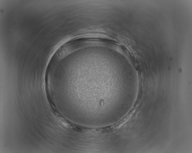 X0000051240148200506241530