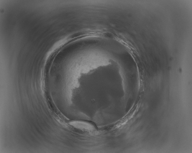 X0000051240149200506241530