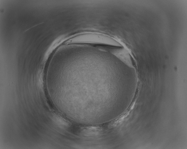 X0000051240151200506241530