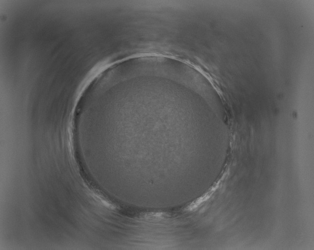 X0000051240152200506241530