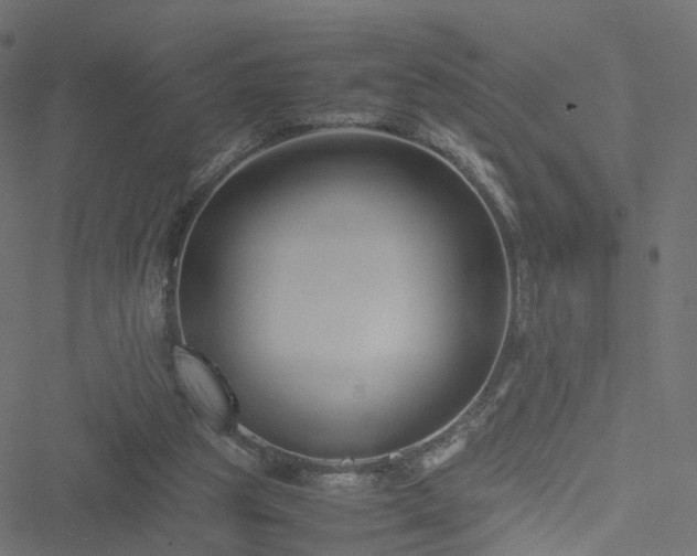 X0000051240153200506241530