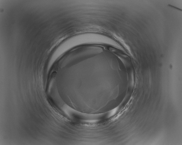 X0000051240154200506241530