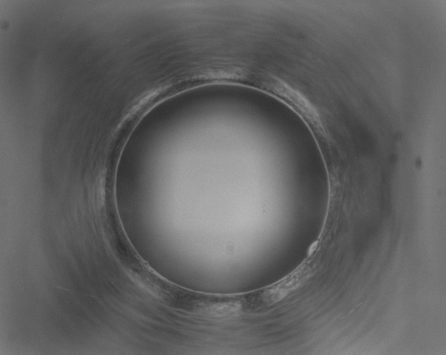 X0000051240155200506241530