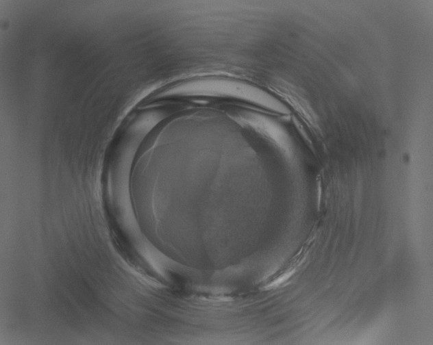 X0000051240156200506241530