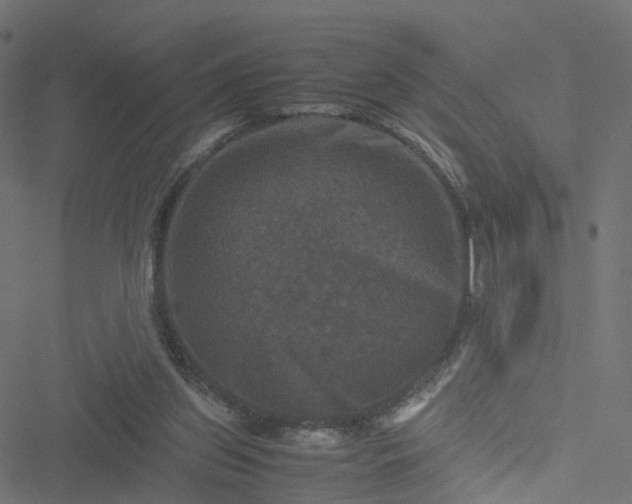 X0000051240157200506241530