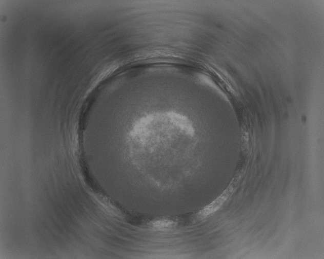 X0000051240158200506241530