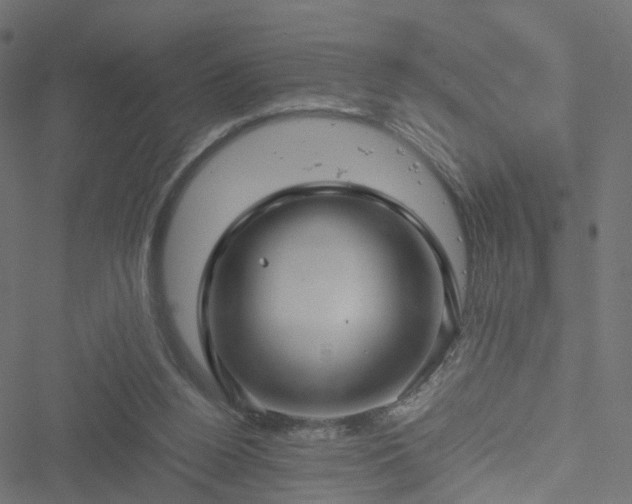 X0000051240160200506241530