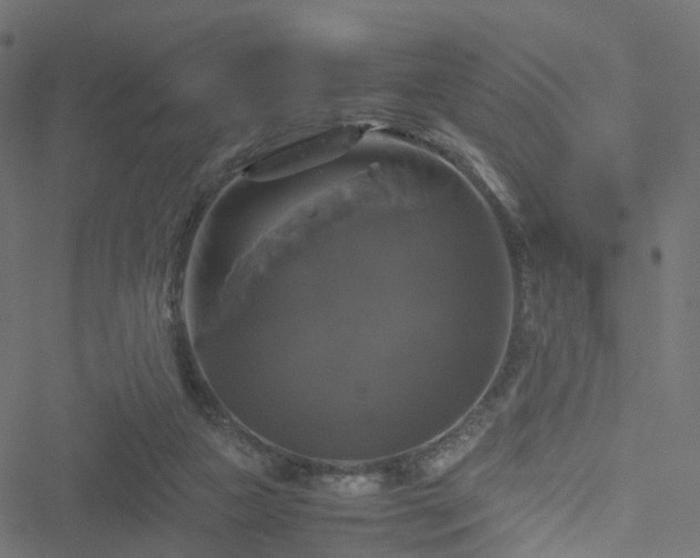 X0000051240161200506241530