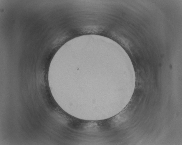 X0000051240162200506241530