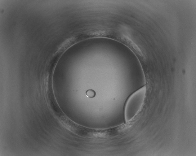 X0000051240163200506241530