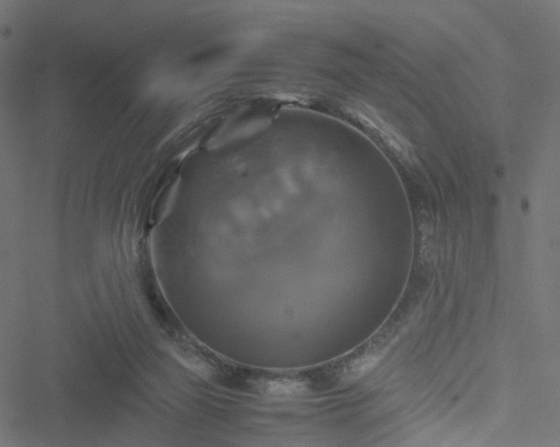 X0000051240165200506241530