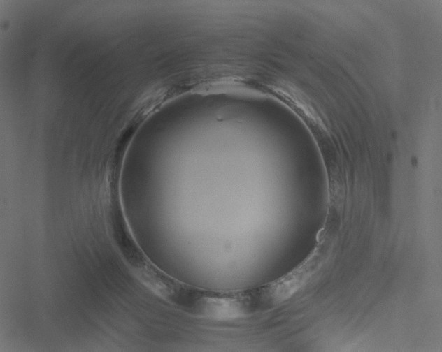 X0000051240167200506241530