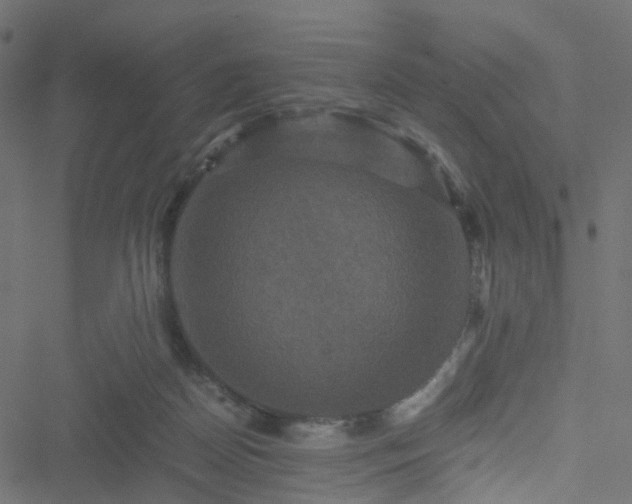 X0000051240170200506241530