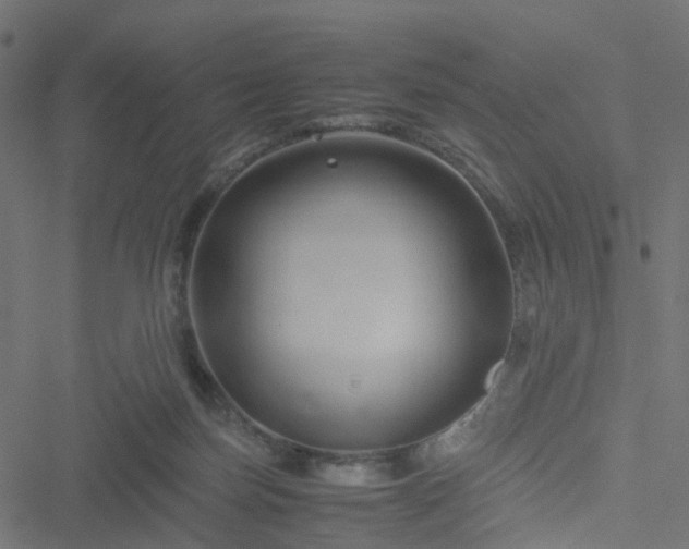 X0000051240171200506241530