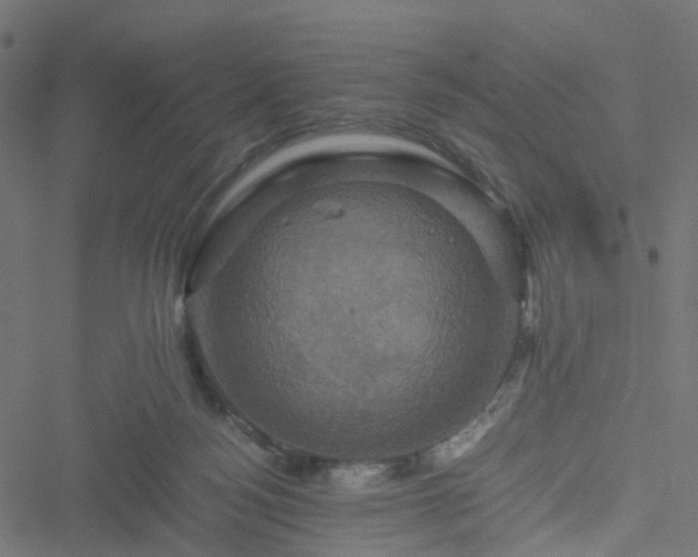 X0000051240172200506241530