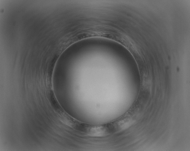 X0000051240173200506241530