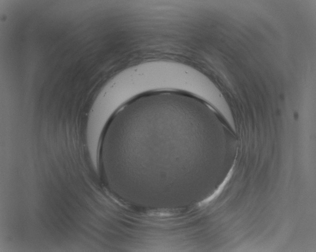 X0000051240174200506241530