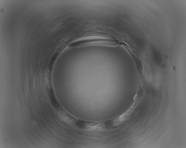 X0000051240175200506241530