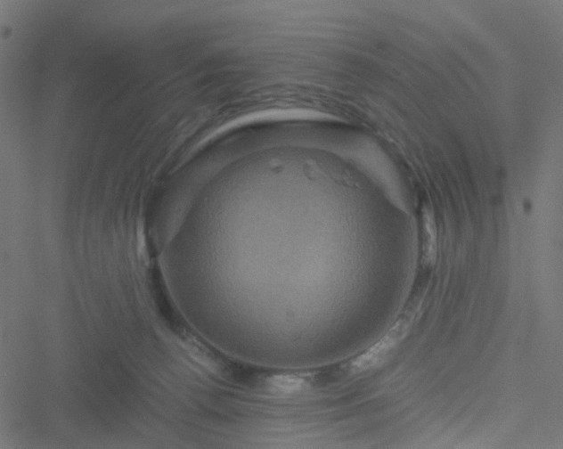 X0000051240176200506241530