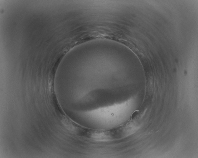 X0000051240177200506241530