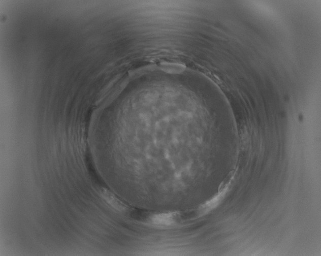 X0000051240178200506241530