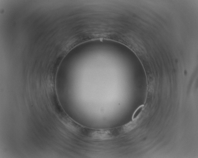 X0000051240179200506241530