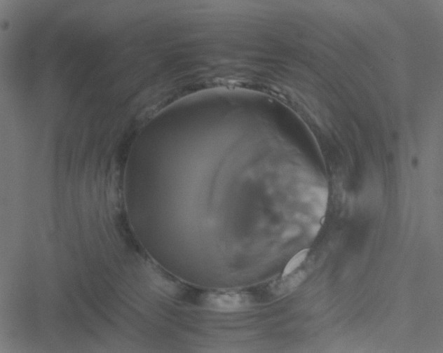 X0000051240181200506241530