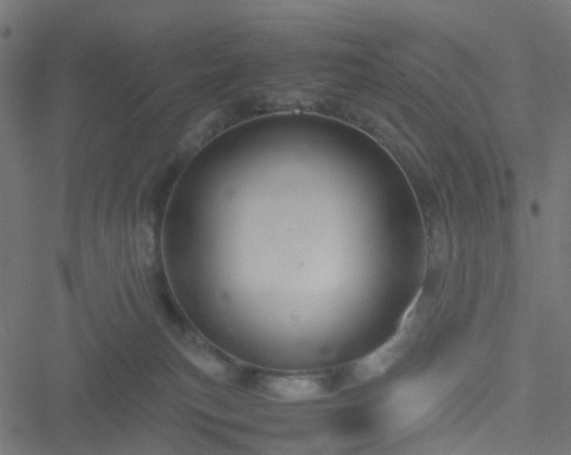 X0000051240183200506241530