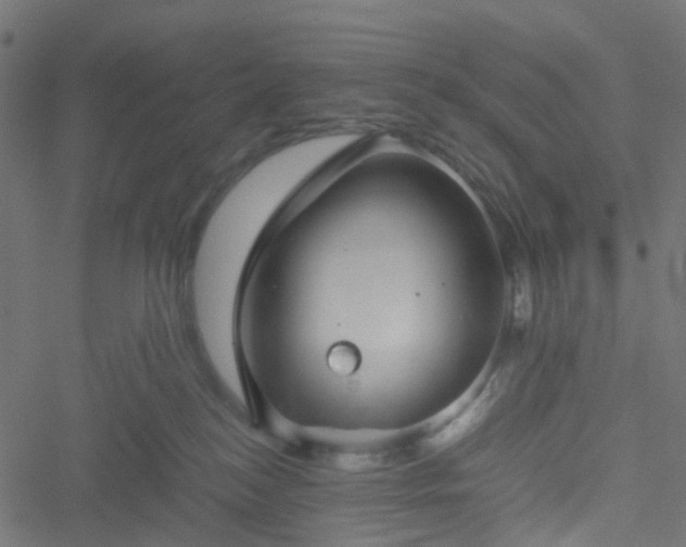 X0000051240184200506241530