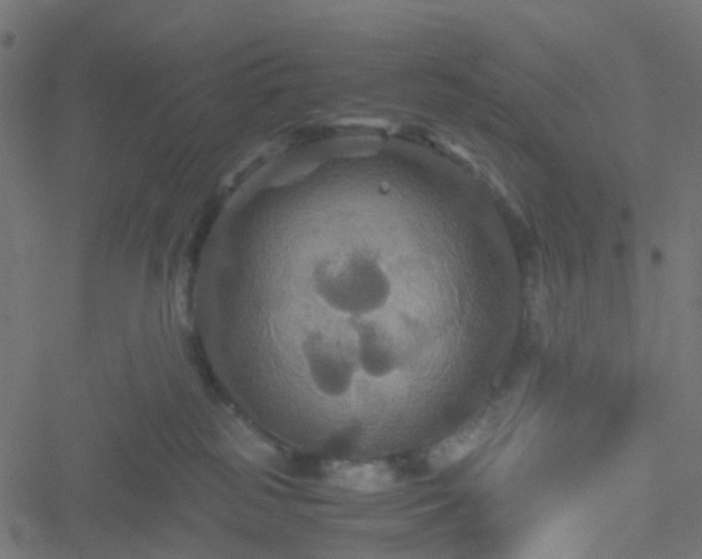 X0000051240185200506241530