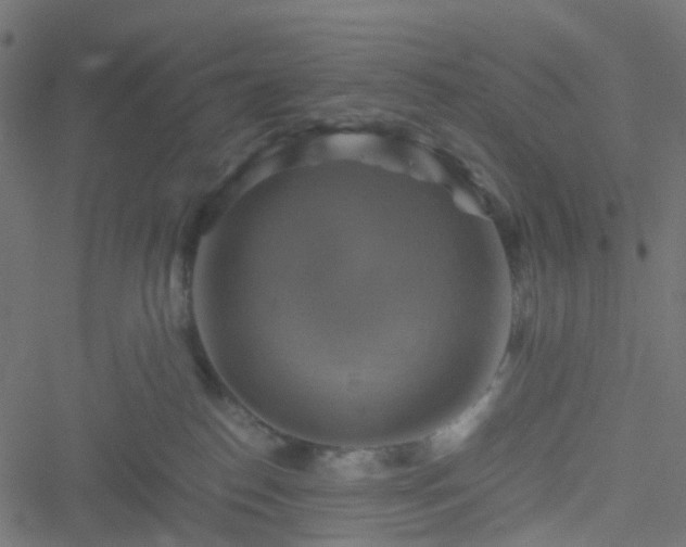 X0000051240186200506241530