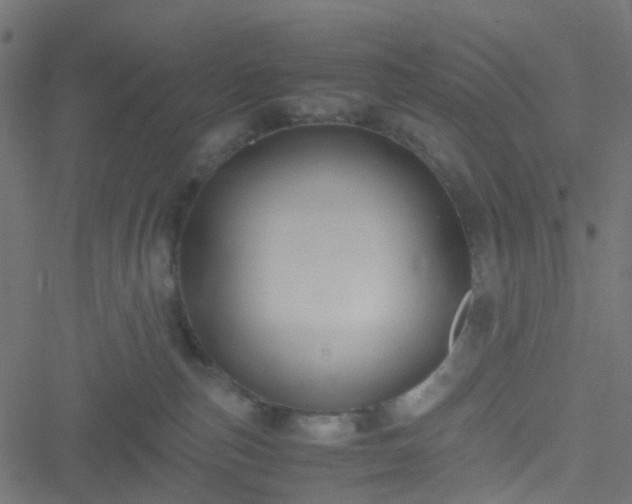 X0000051240187200506241531