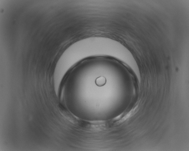 X0000051240188200506241531