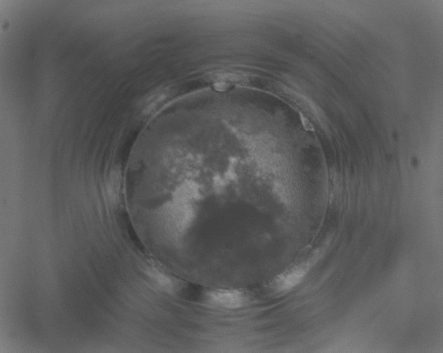 X0000051240189200506241531