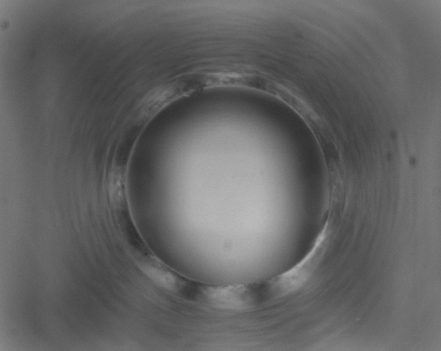 X0000051240191200506241531