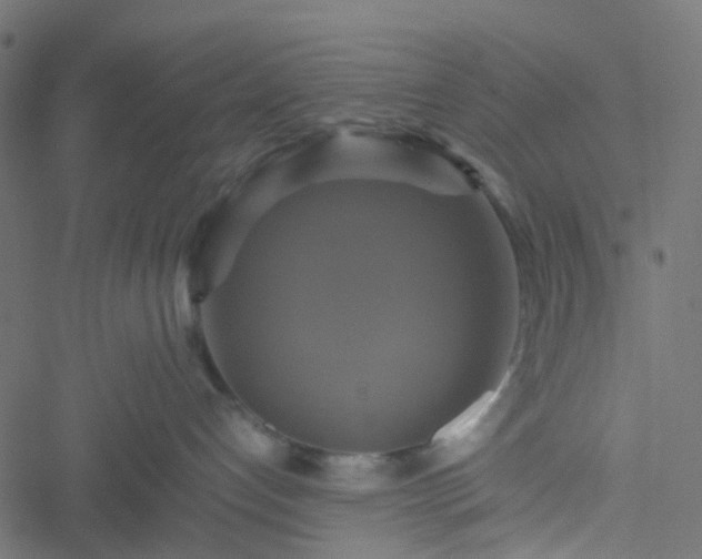 X0000051240192200506241531