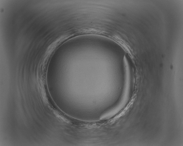 X0000051240193200506241530