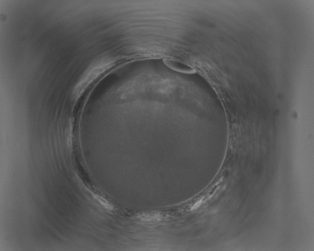 X0000051240194200506241530